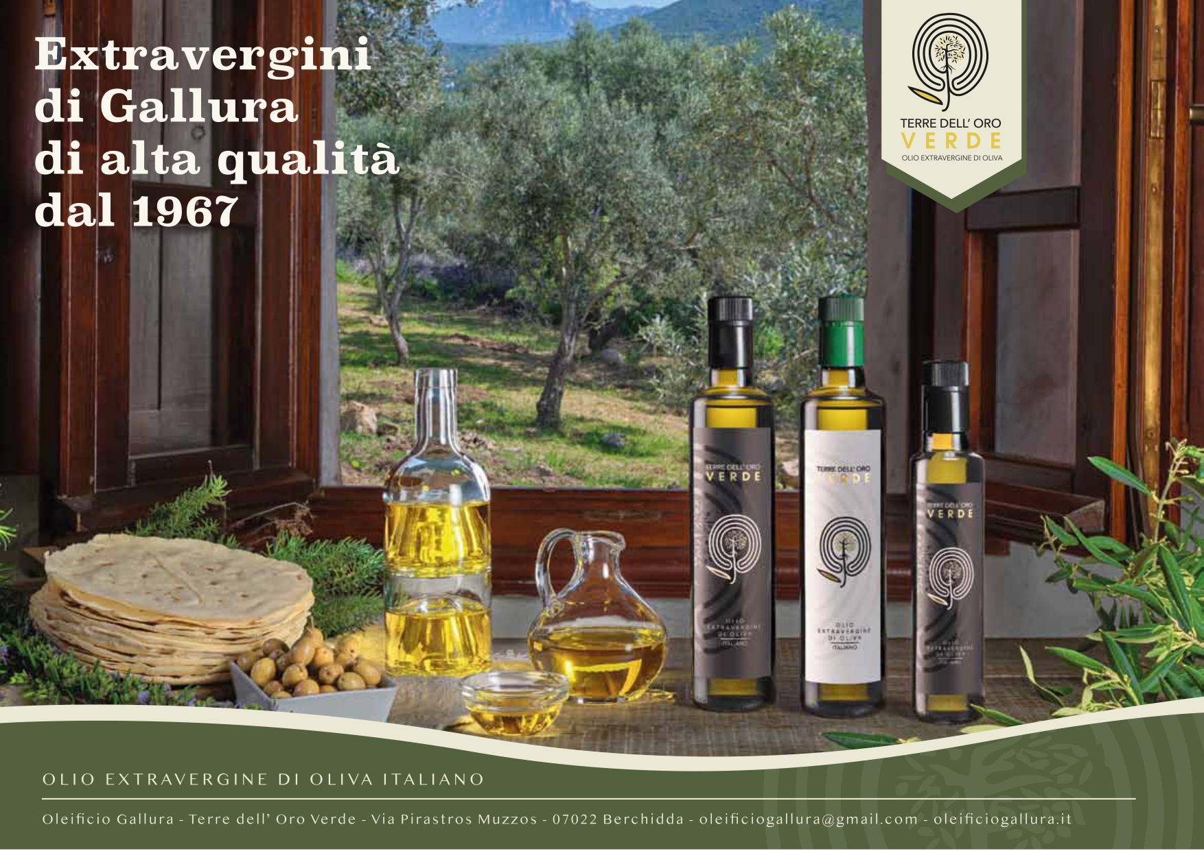 Olive e olio in Gallura: le caratteristiche e gli usi in cucina